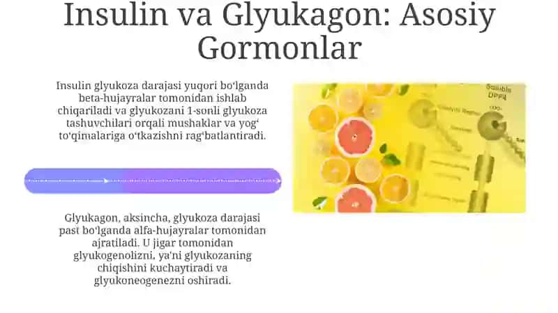 Absorbtiv va postabsorbtiv holatlarda qonda glyukoza miqdorini boshkarilishi 4