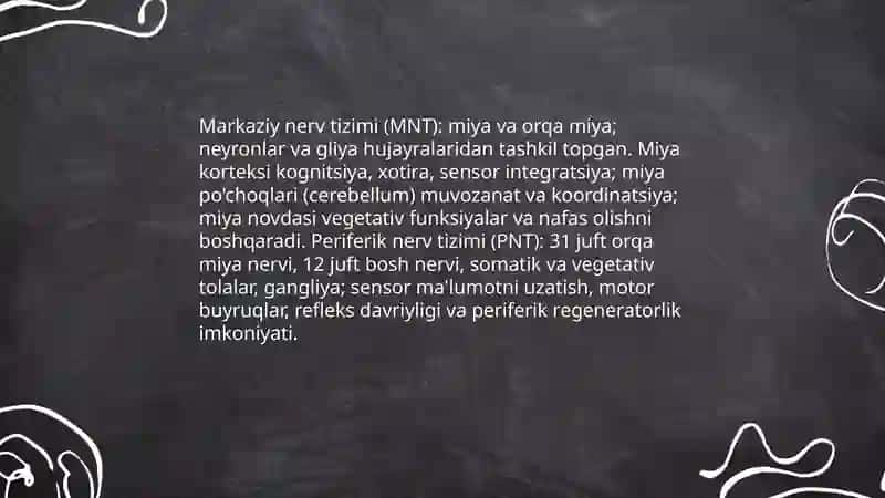 Nevropotologiya va nevropotologiya haaida umumiy tushunch 4