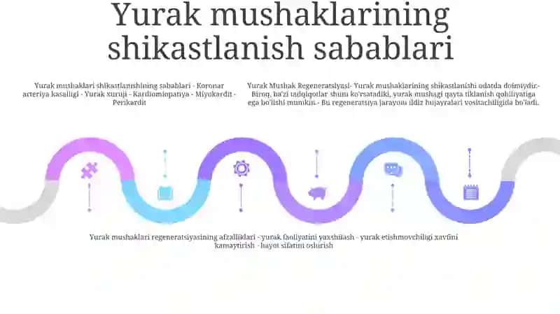 Yurak Mushak Regeneratsiyasi 4