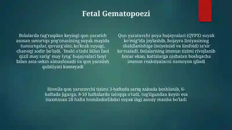 Bolalarda qon yaratish tizimi anatomi-fiziologik hususiyatlari 4