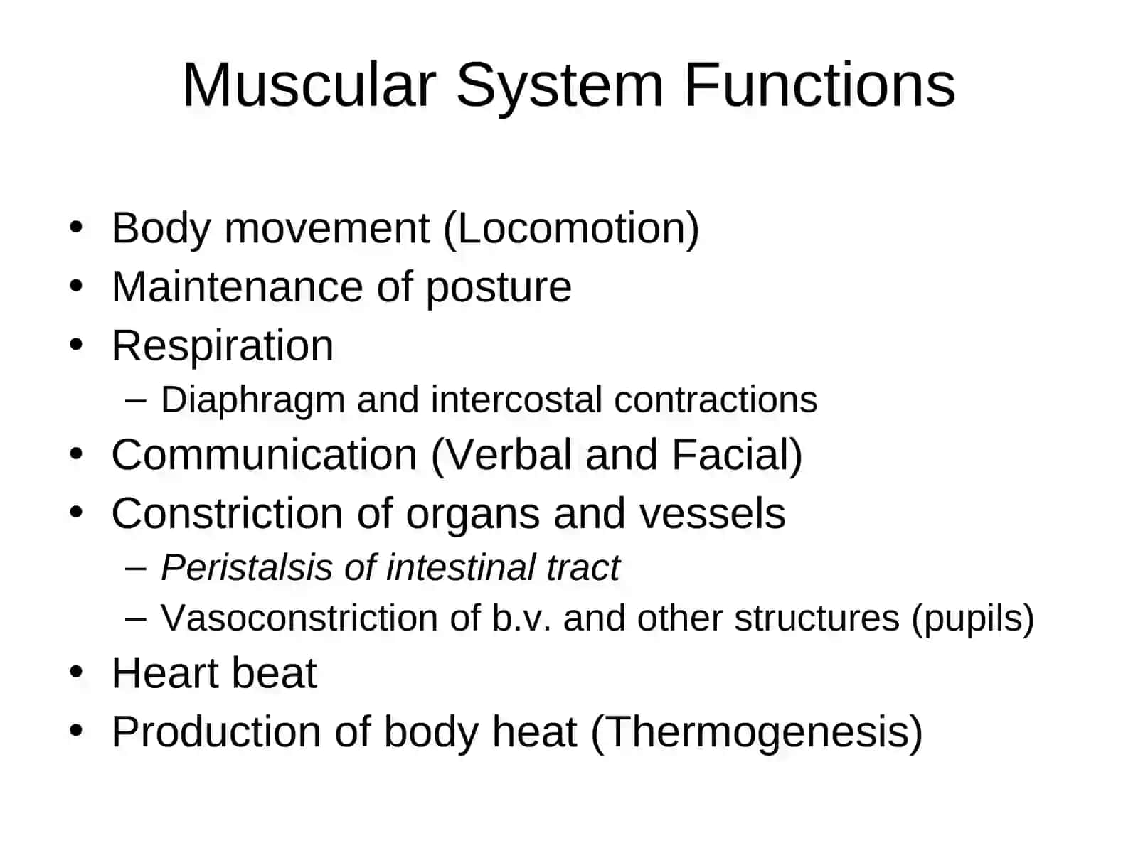 Skeletal Muscle Physiology 4