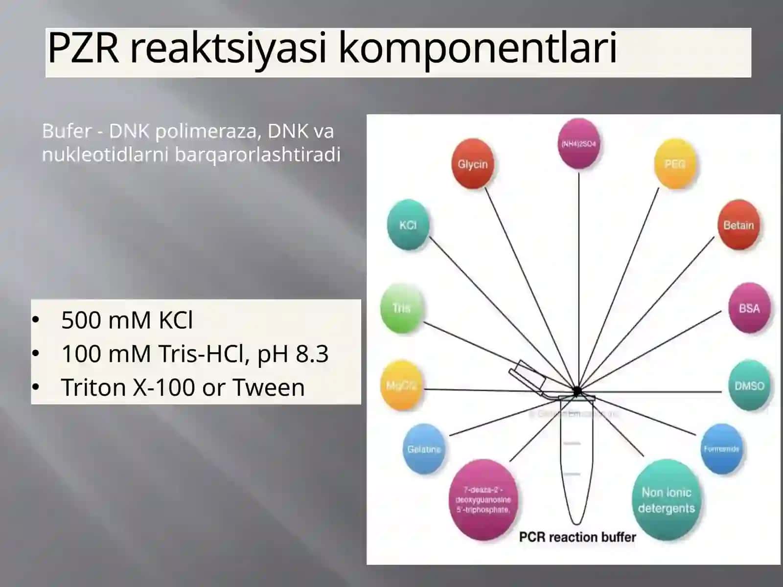 Polimeraza zanjir reaksiyasi (PZR) usuli 4