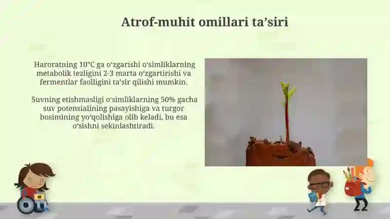 O‘simliklar o‘sishi va rivojlanishi 4