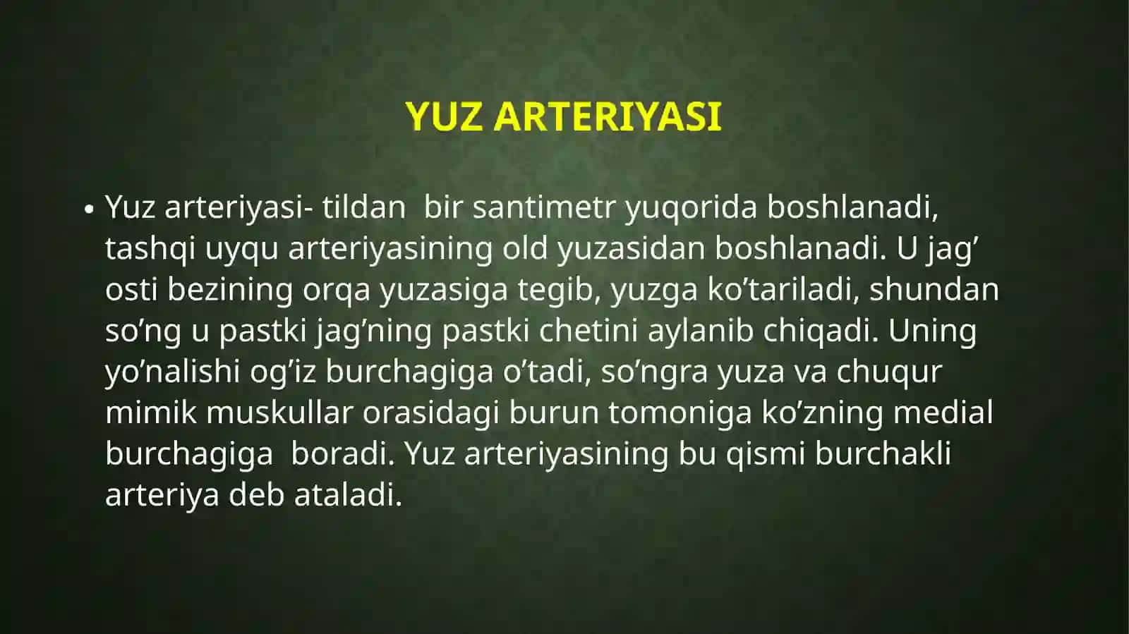 yuzni qon bilan ta'minlanishi 4