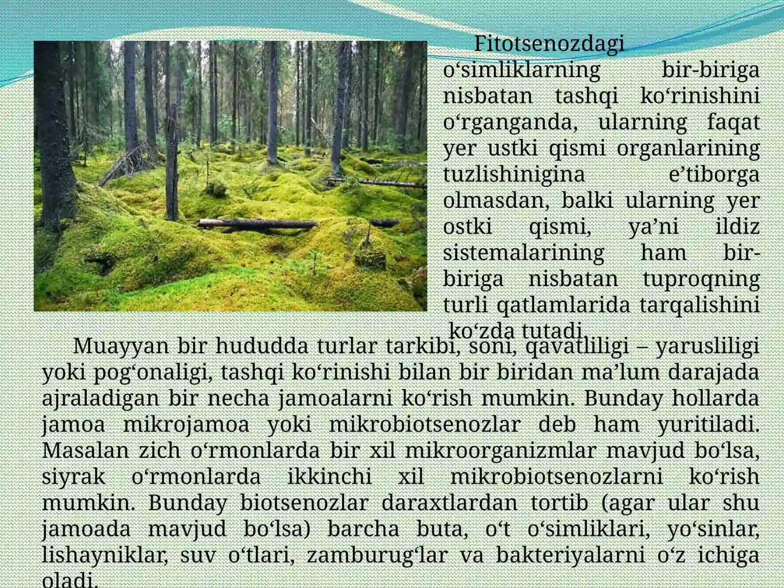 Fitotsenozlarning tarkibi va strukturasi 4