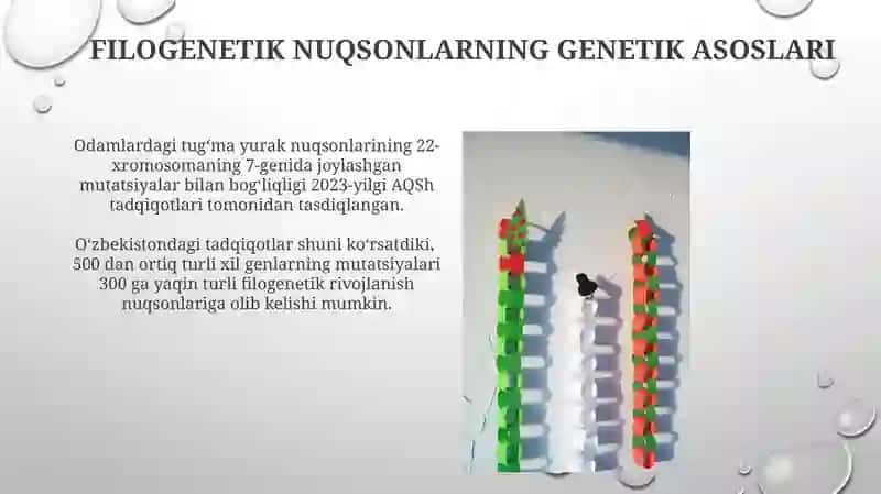Odamda rivojlanishning filogenetik nuqsonlari 4