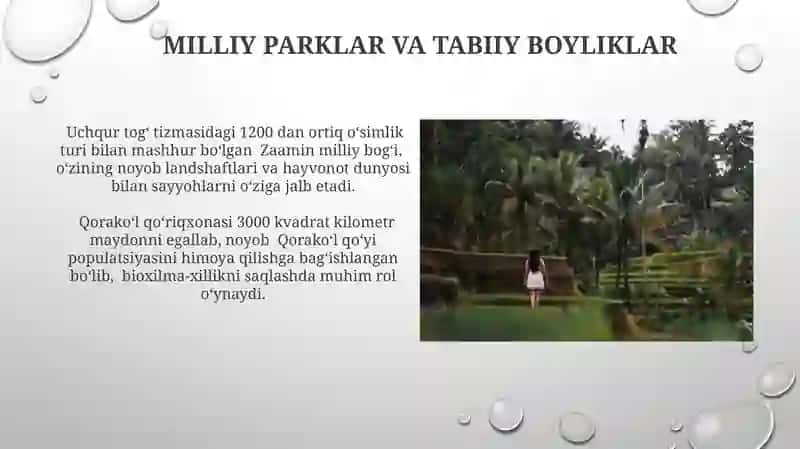 Madaniy Boyliklar Va Anʼanalar 4