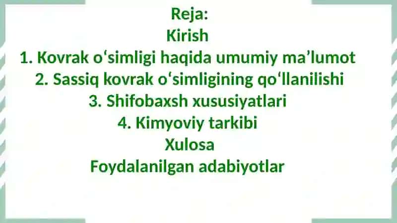 Kovrak (Ferula L. (Schumannia O.Ktze) 4