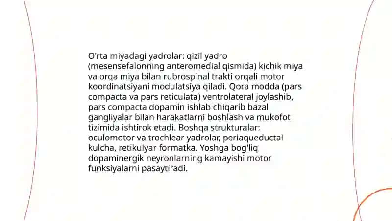 O'rta miya tuzilishi va yoshga qarab o'zgarishi 4