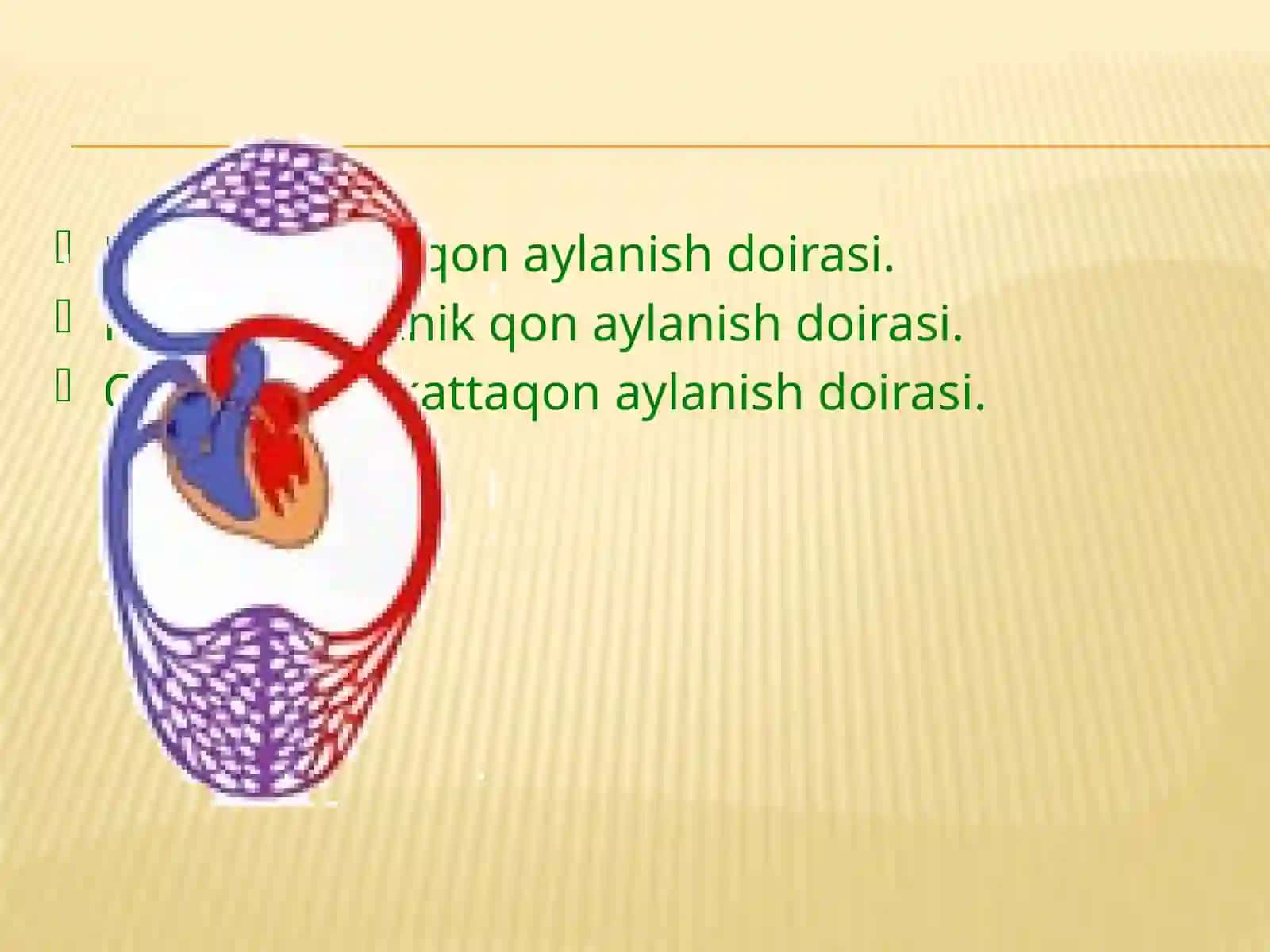 Yurak qon tomir patologik fiziologiyasi 4