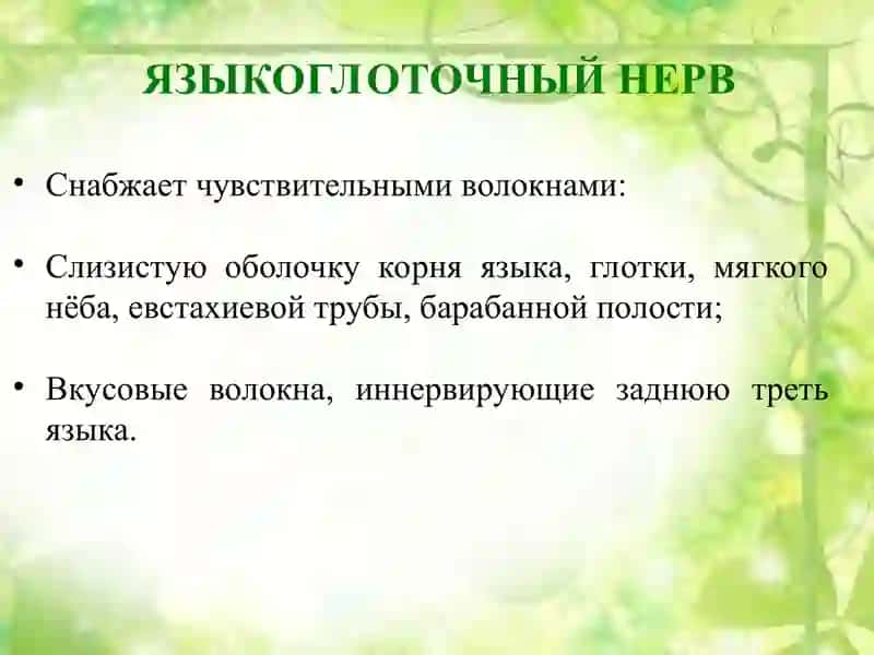 Языкоглоточный нерв 4