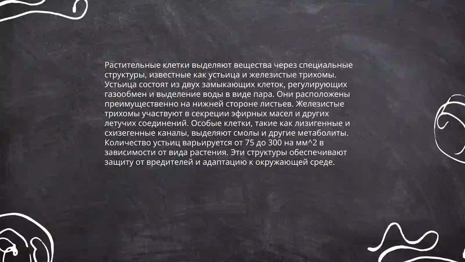 Выделительные системы растений 4