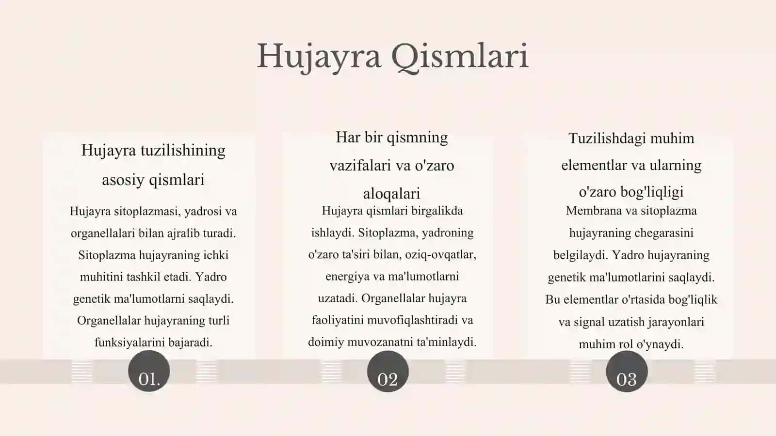 Hujayra Tuzilishi 4