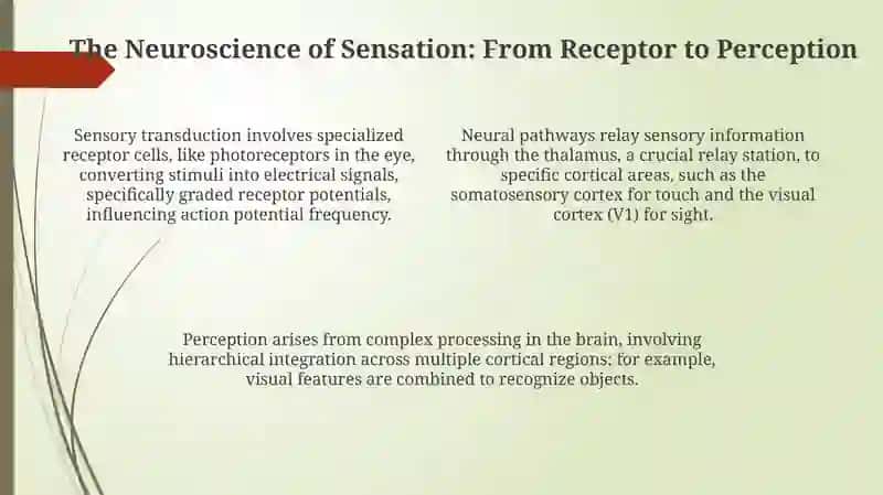 6 senses 4