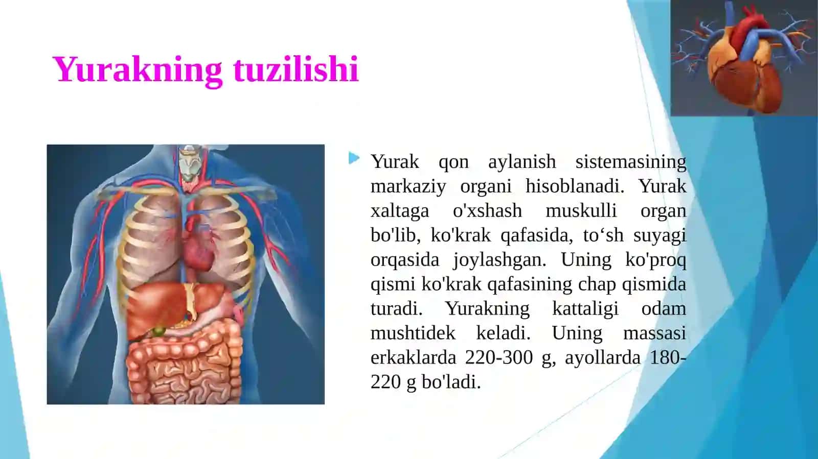 Qonaylanishining ahamiyati, yurakning tuzilishi 4