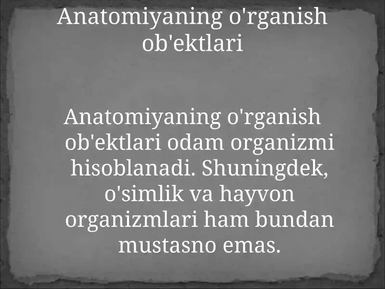 Odam anatomiyasi 4