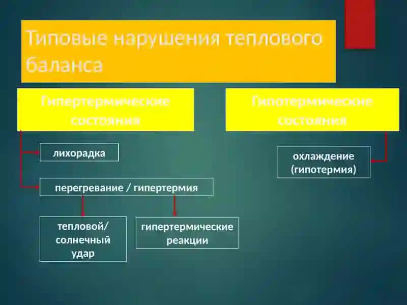 Температурани регуляция қилиш 4
