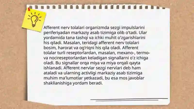 Afferent innervatsiya haqida tushuncha. dori preparatlarning terapevtik dozalari.qöllanishi. Mahalliy anestetiklar 4