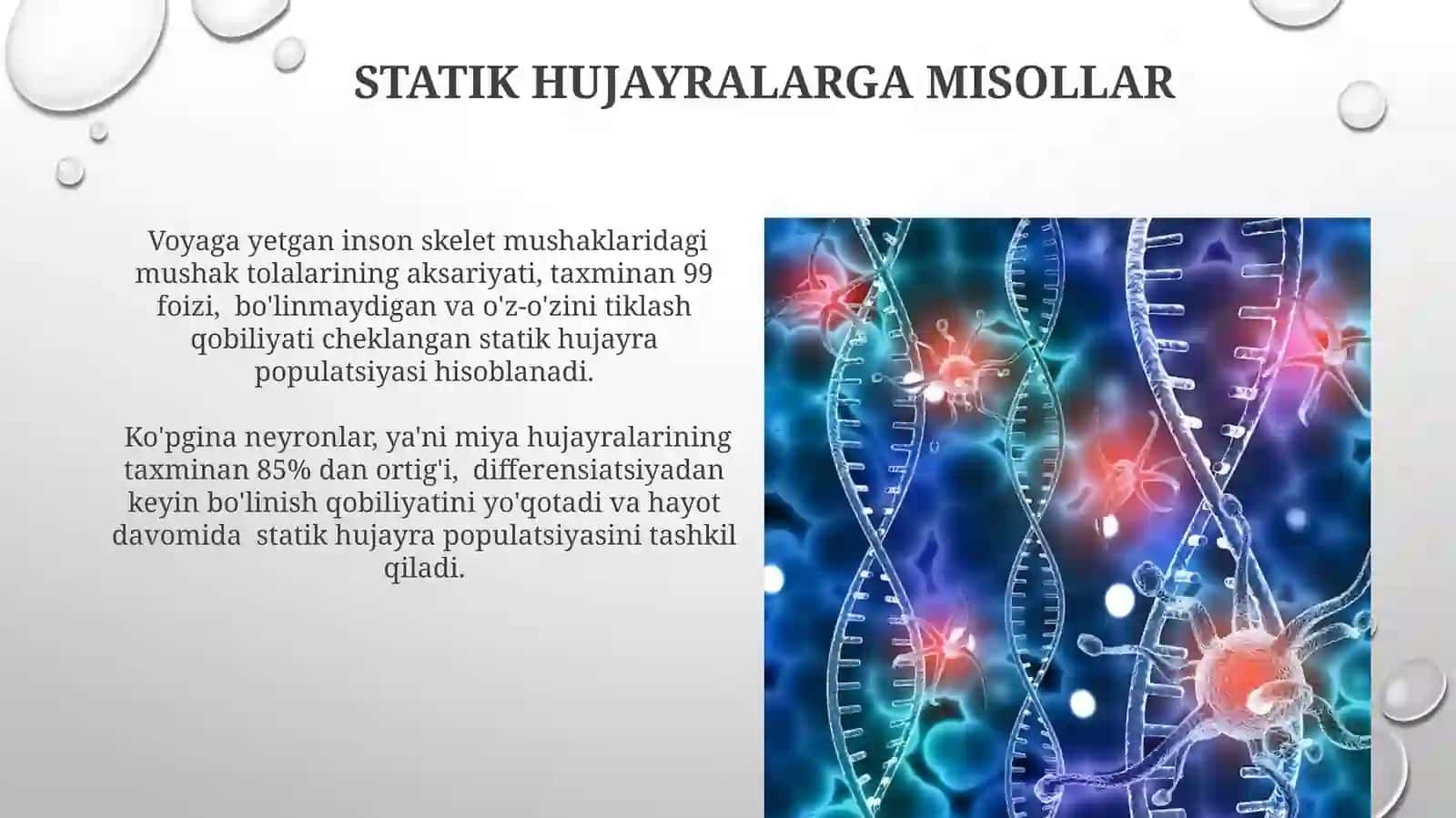 Yangilanuvchi Hujayra Populyatsiyalari 4