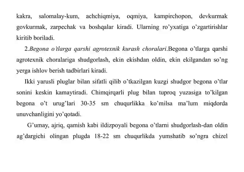 Begonaoʻtlar 4