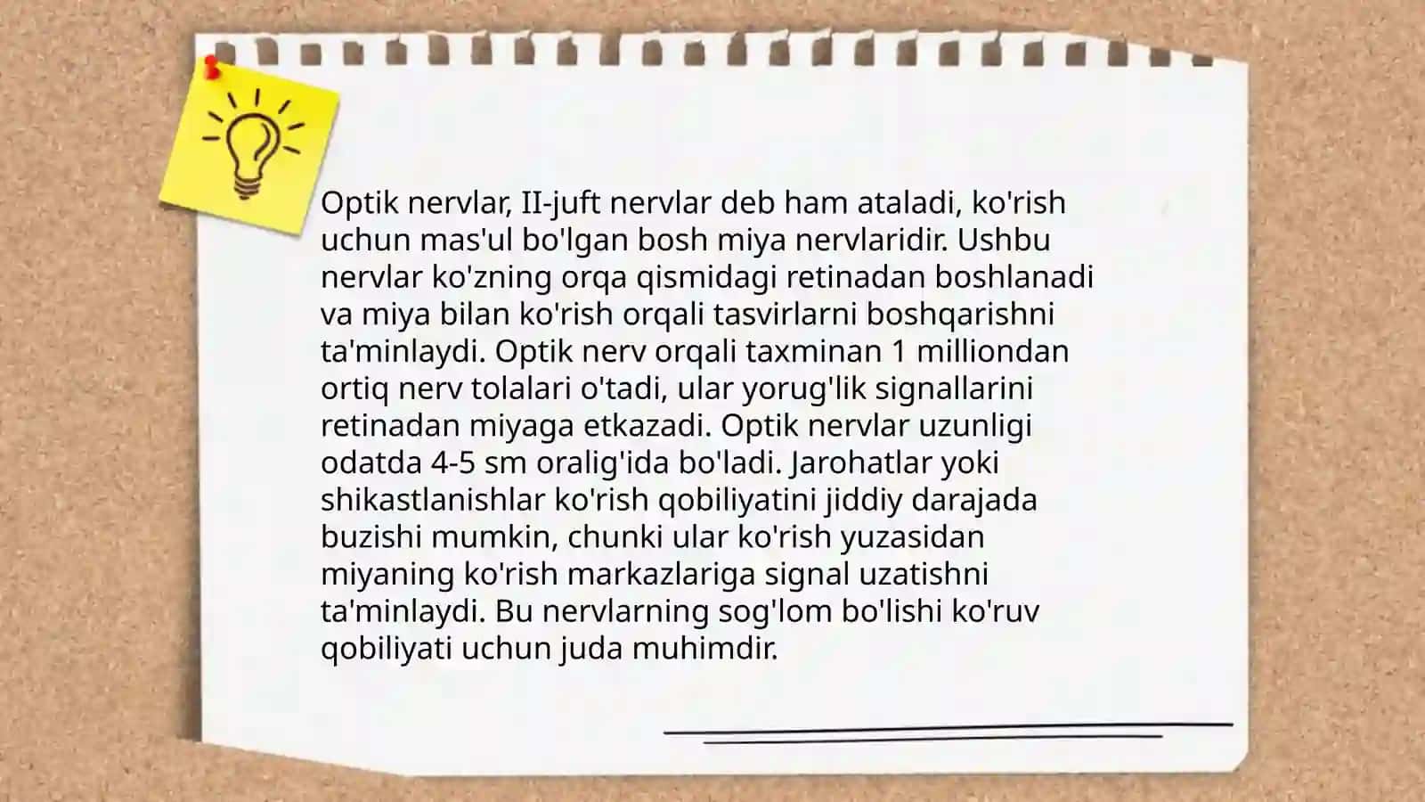 Olfaktor nervlar (I-juft nervlar) 4