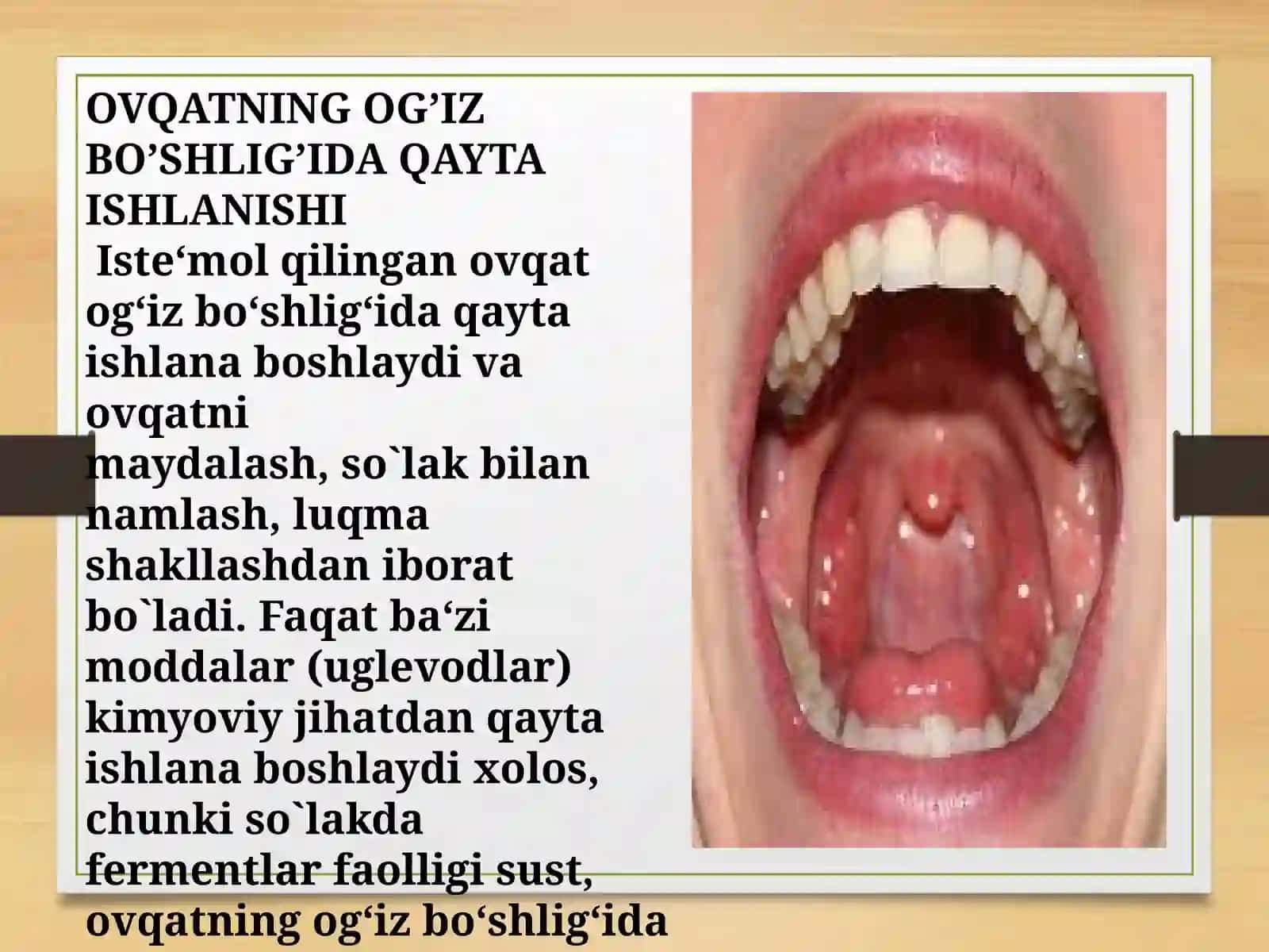HAZM FIZIOLOGIYASI 4