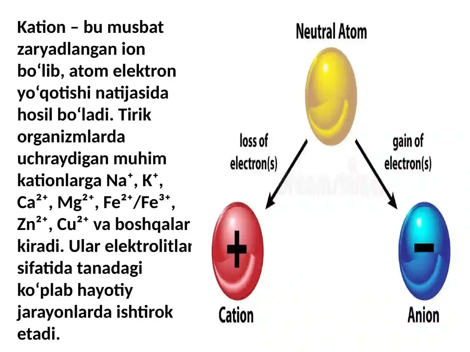 Analitik Fizkolloid va Bioorganik kimyo fanidan taqdimot 4