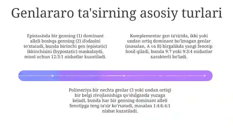 Mendelning uchinchi qonuni: allel bo'lmagan genlarning o'zaro ta'siri haqida 4