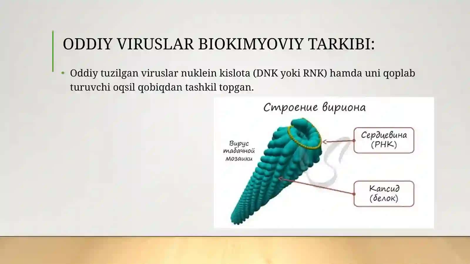 Viruslar bioximiyasi 4