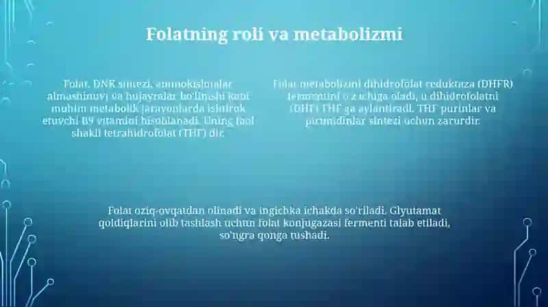 Folat yetishmovchiligi: sabablari, belgilari va diagnostikasi 4