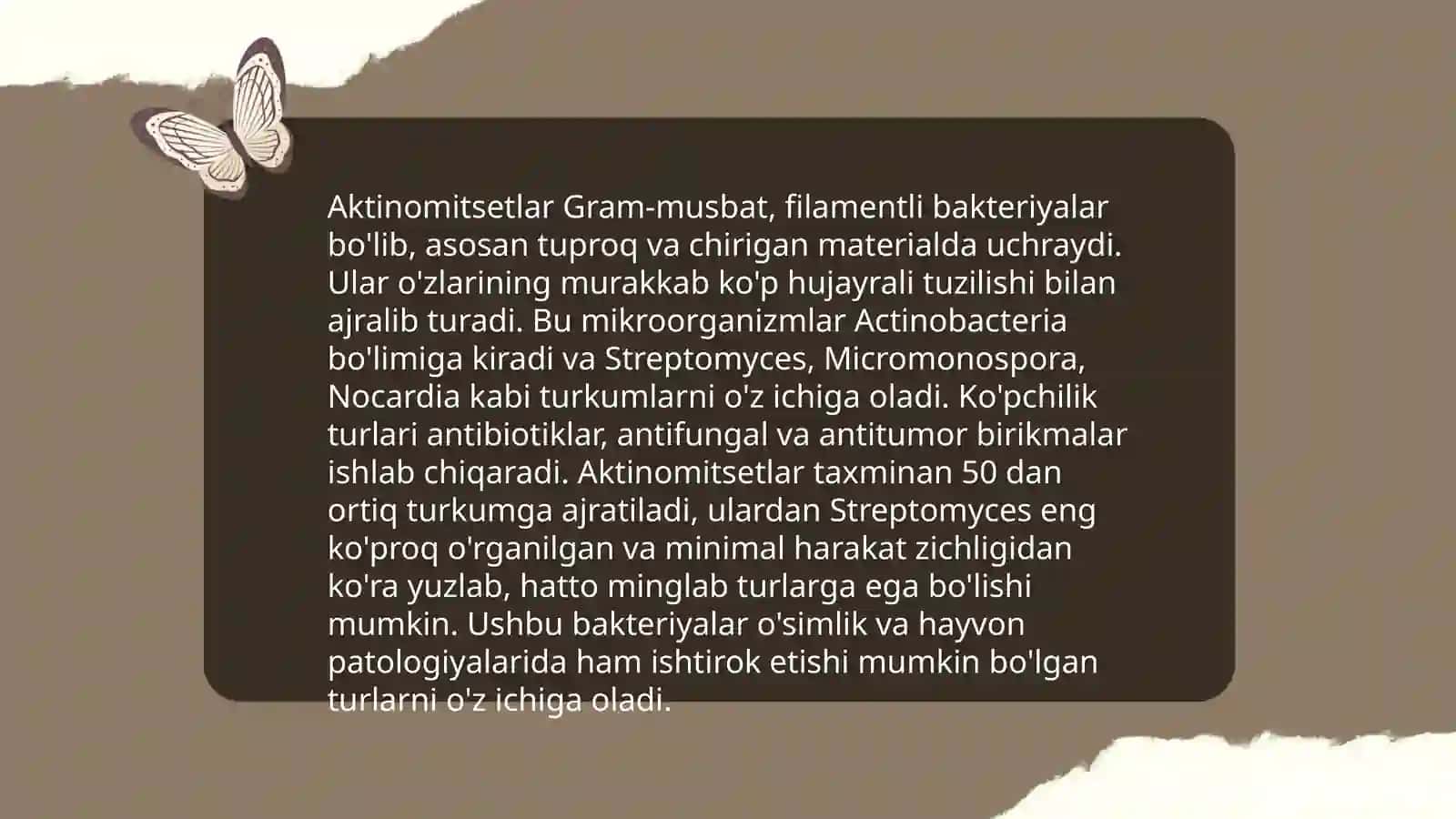 Aktinomitsetlar va ularga yaqin organizmlar 4