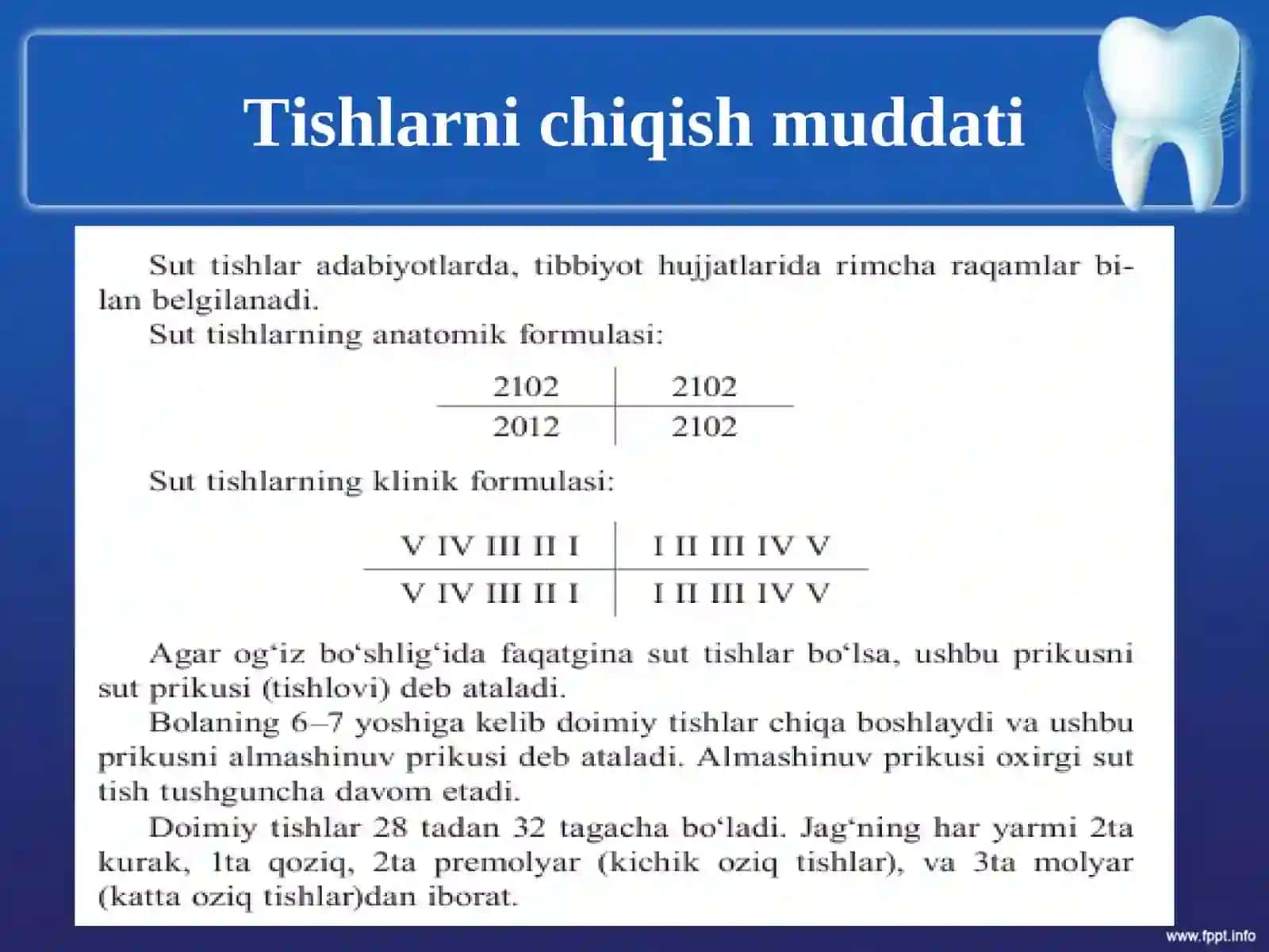 TISH-JAG’ ANATOMIYASI 4