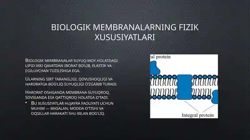Biofizika - Biologik membranalardagi fizik jarayonlar (11 slayd PPT) 4