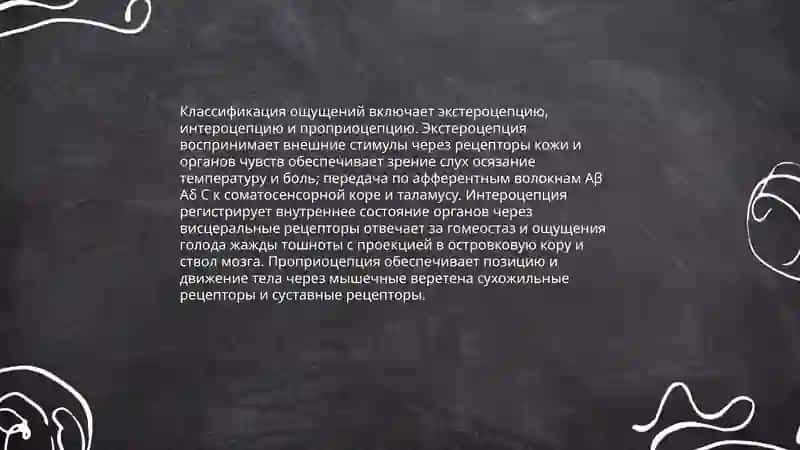 Общее представление об ощущениях и их нейрофизиологические 4