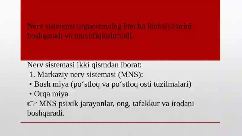 Psixika tushunchasi va nerv sistemasining tuzilishi, dastlabki nerv sistemasi haqidagi qarashlar 4