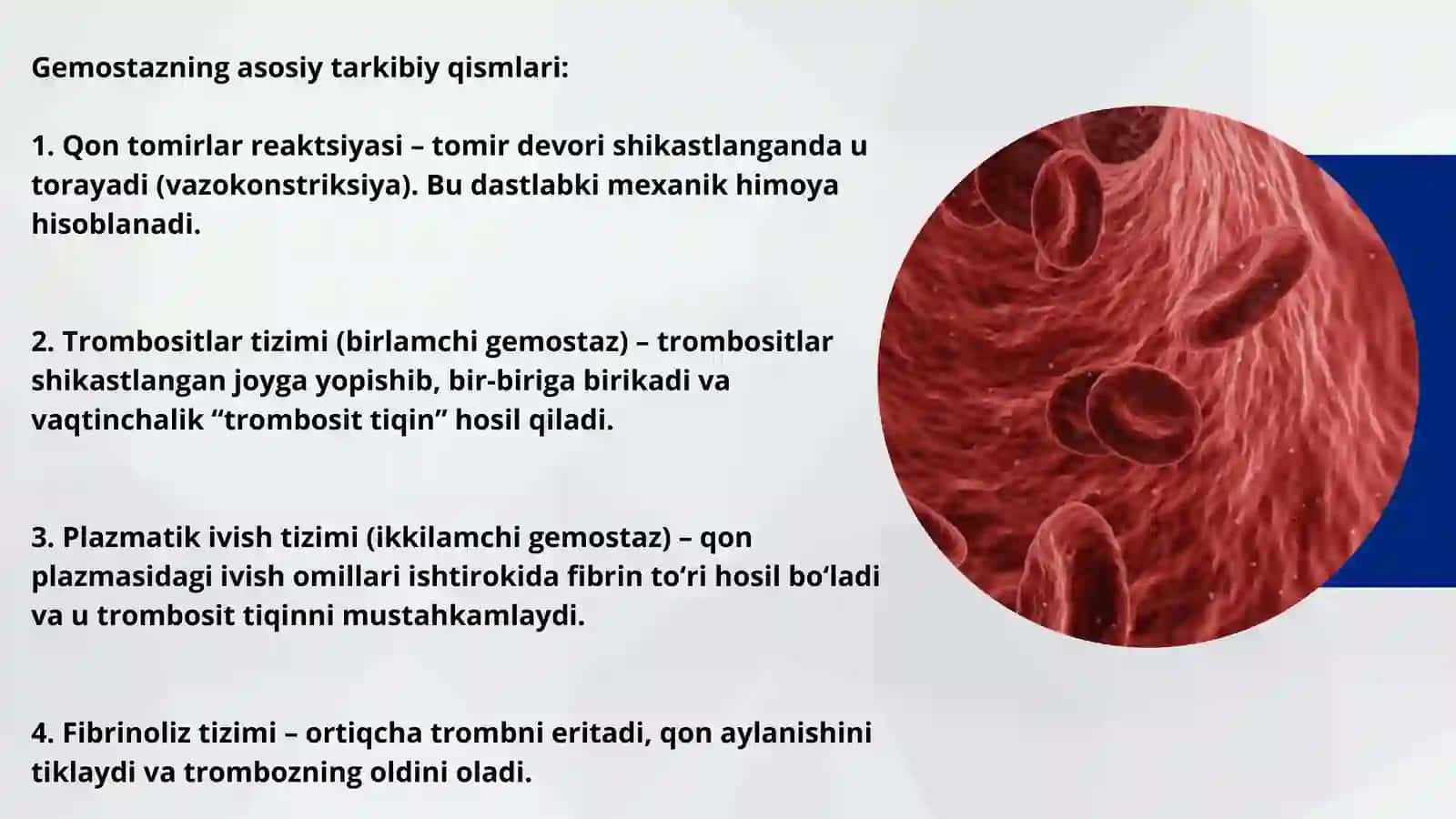 Gemostaz va uning turlari 4
