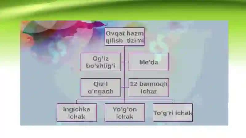 Oziq-ovqat xomashyosi fanidan tayyorlagan TAQDIMOTI 4