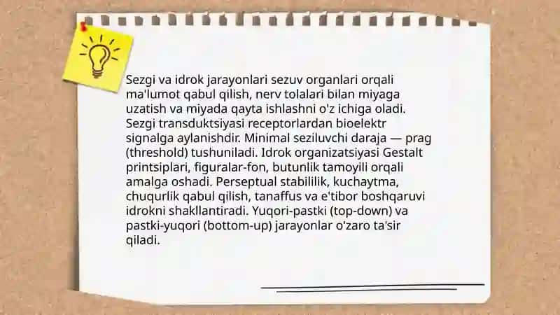 Bilish jarayonlari psisixologiyasi 4