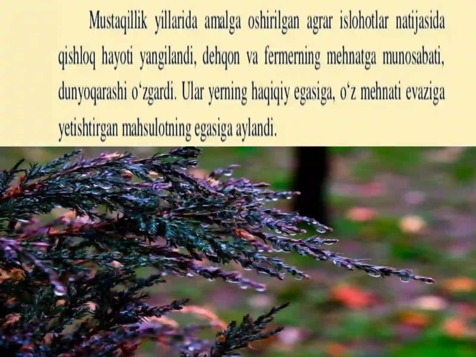 Mamlakatimiz iqtisodiyotini modernizatsiyalash va yangilanilishini izchil  davom ettirish 4