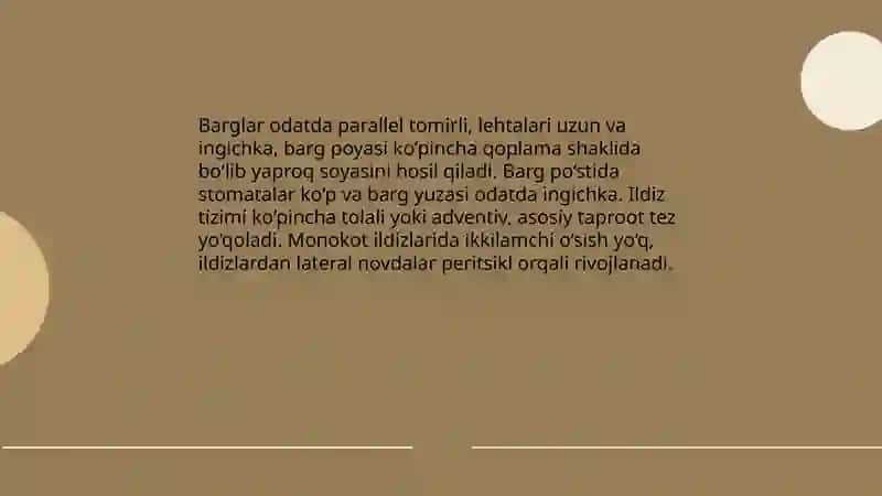 Bir uruĝ pallalilar sinfi 4