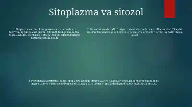 Hujayra Va Organellalarning Morfologik Jihatdan Tuzilmaviy Asosi 4