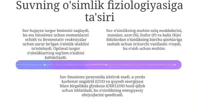 O'simliklarni namlashning asosiy ilmiy tamoyillari 4