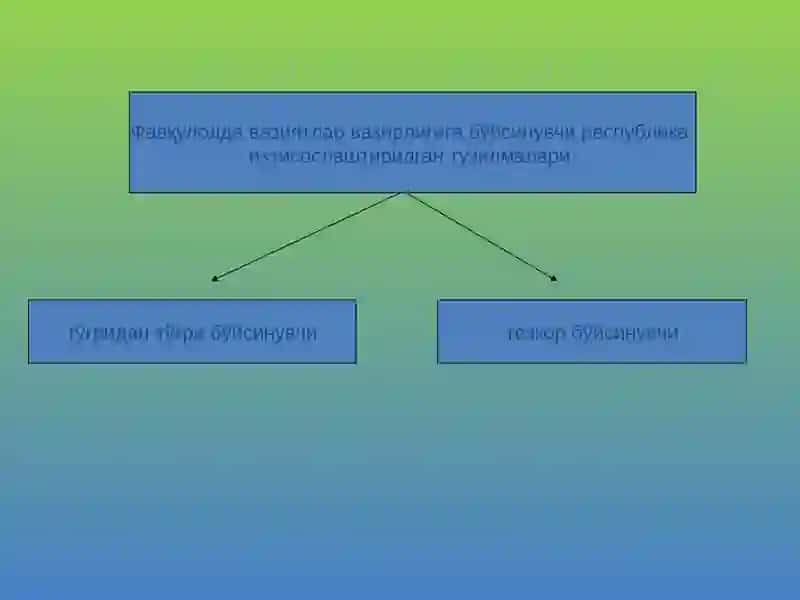 Фуқаро Муҳофазаси 4