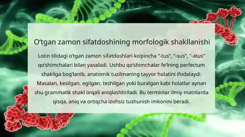 ANATOMIK VA GISTOLOGIK NOMENKLATURA 4