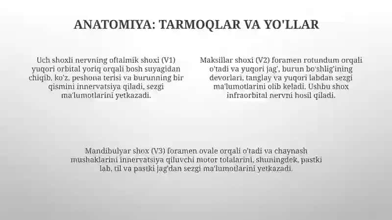 Uch shoxli nerv 4
