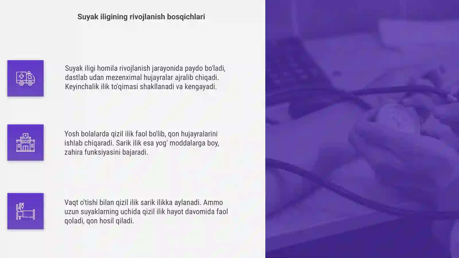 Suyak iligi 4