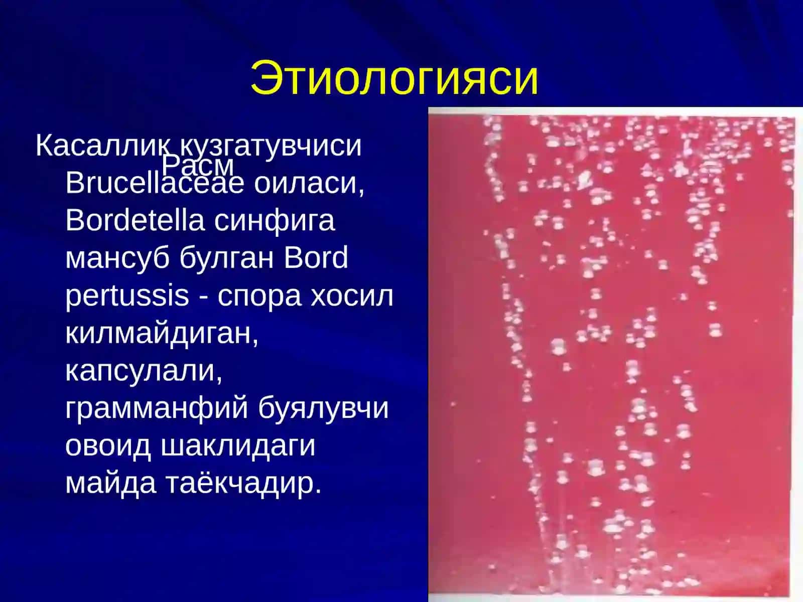 Кукйутал 4