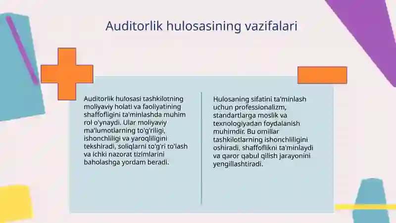 Auditorlik xulosasi 4