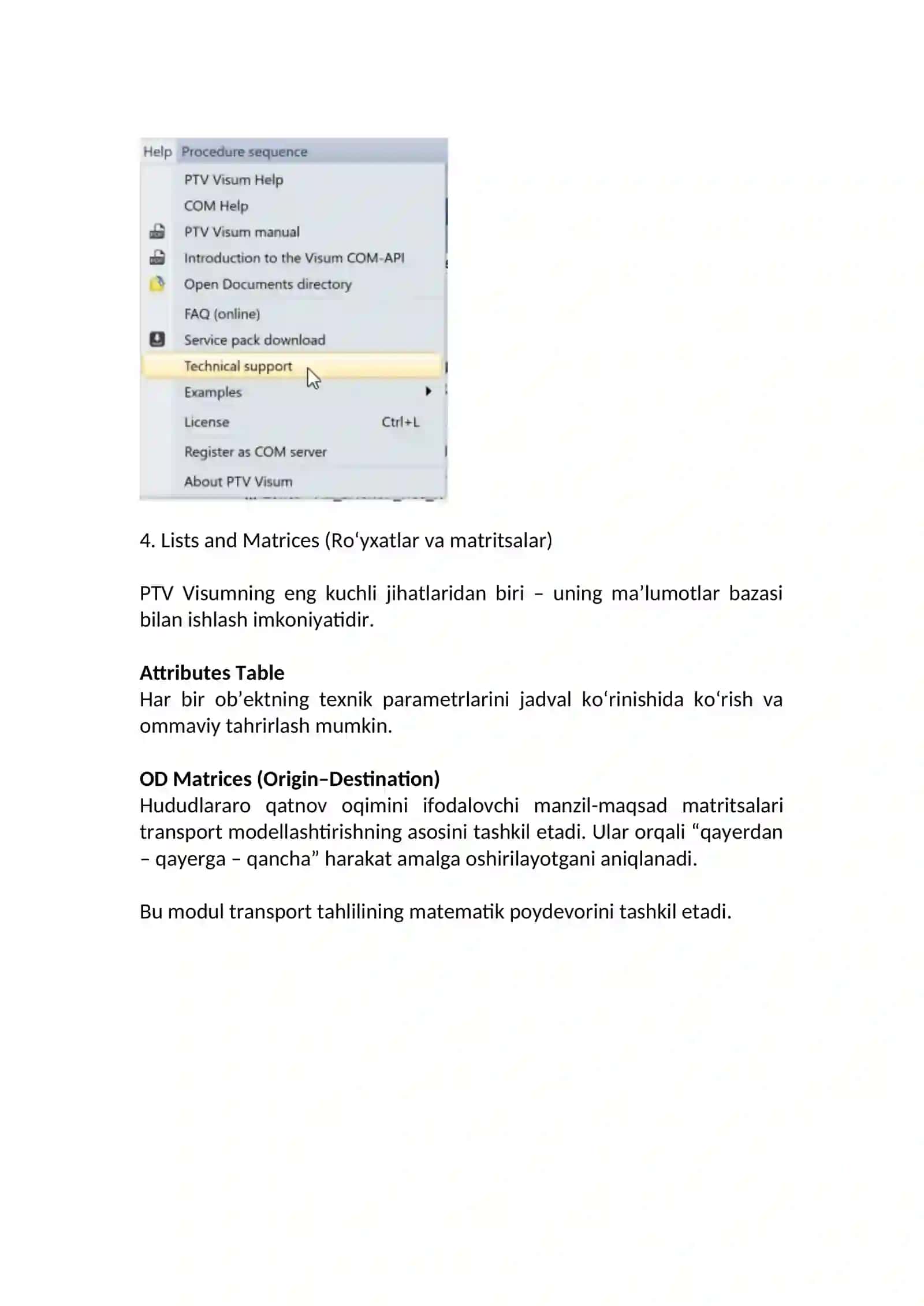 PTV Visum dasturi interfeysi 4