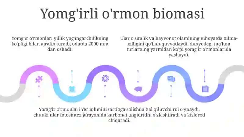 Yer Sharida Quruqlik Ekosistemalari Shartli Iqlimiy Guruhlari Va Ularni Muhim Biotsenozlari 4